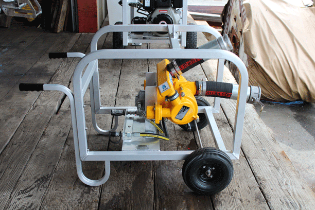 Crucial 3 inch Transfer Pump
