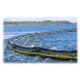Protected Water Boom