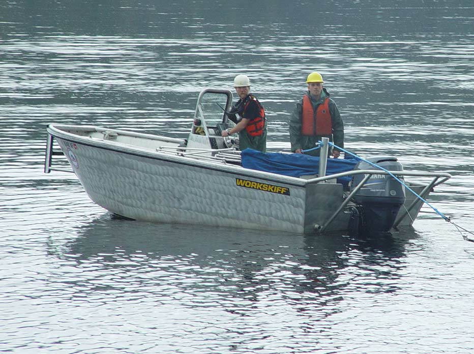 Class 6Work Skiff